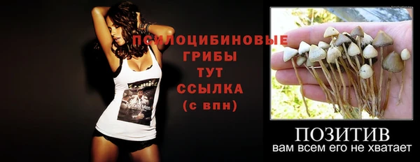 PSILOCYBIN Зеленокумск
