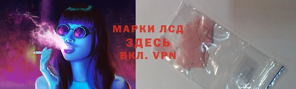 прущие крисы Зеленодольск
