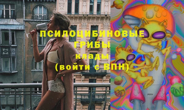 PSILOCYBIN Зеленокумск