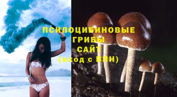 PSILOCYBIN Зеленокумск