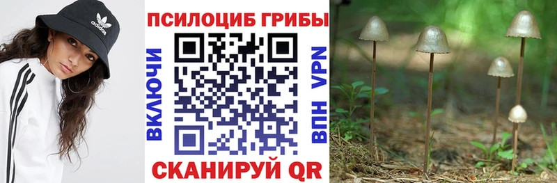 Галлюциногенные грибы прущие грибы  Купить закладки  Саратов 